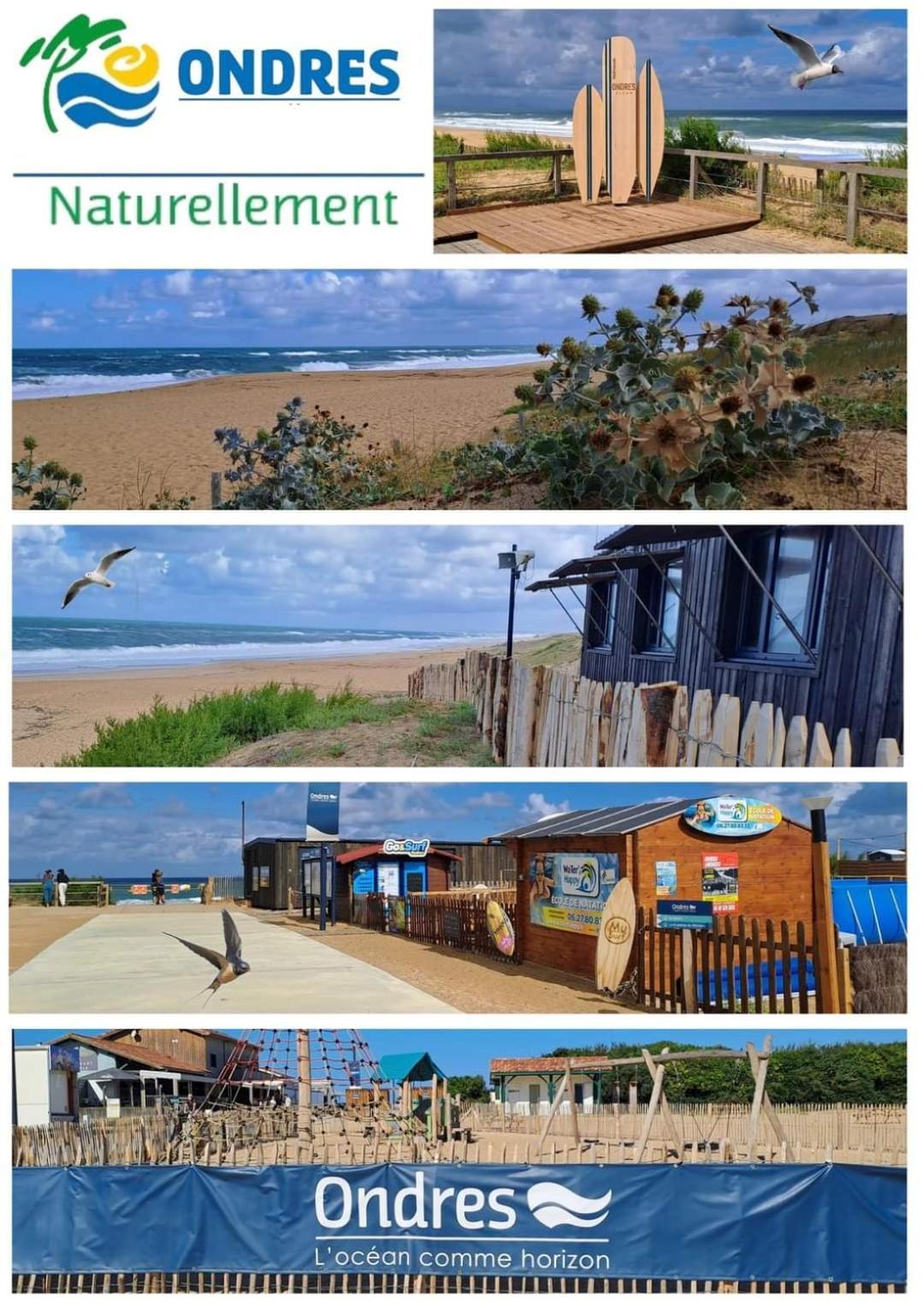 T2 Turquoise Ondres Plage Avec Piscine Et Tennis 외부 사진